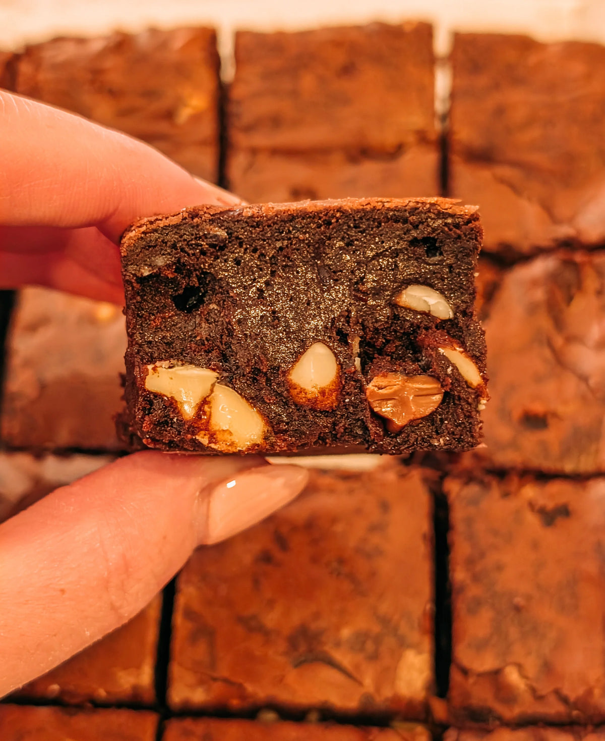 Choc Fudge Brownie Slab